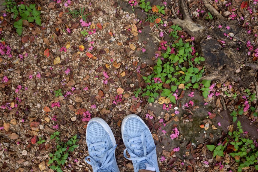 Adventures in Austin / for the love of nike