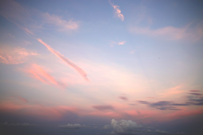 Adventures in Austin / for the love of nike