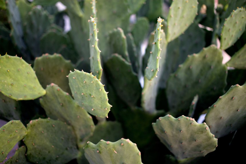 Adventures in Austin / for the love of nike