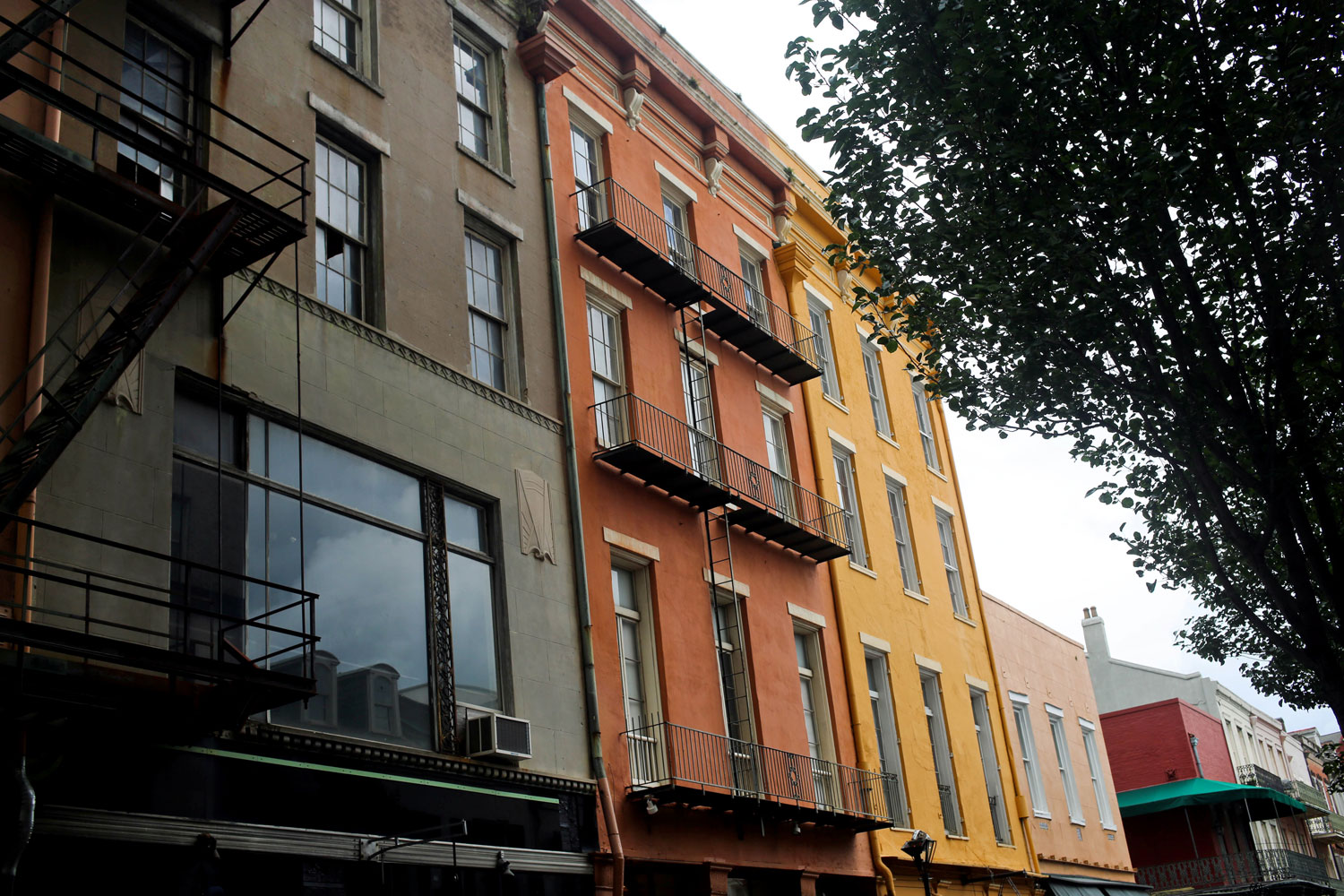 New Orleans / for the love of nike