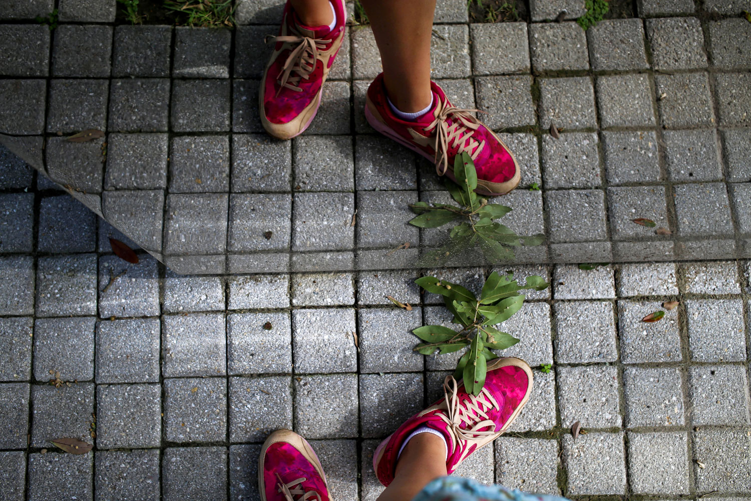 New Orleans / for the love of nike