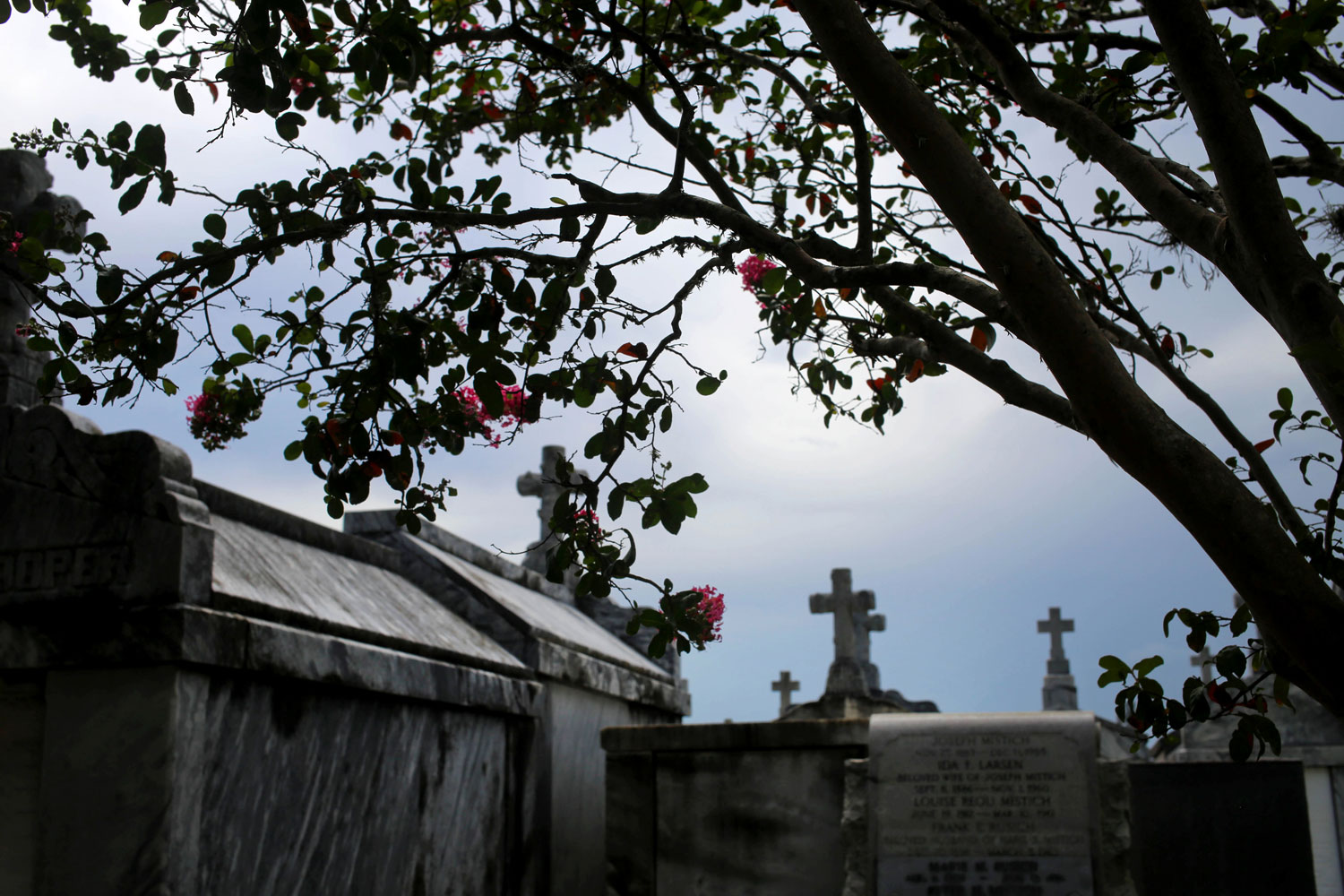 New Orleans / for the love of nike