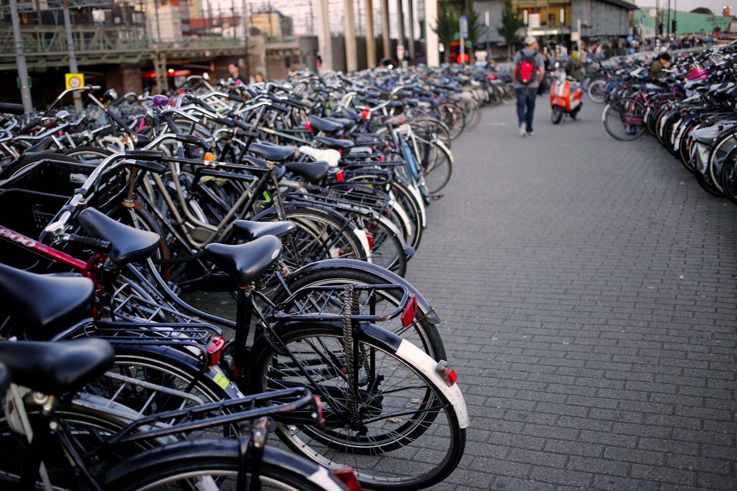 Proost from Amsterdam / for the love of nike