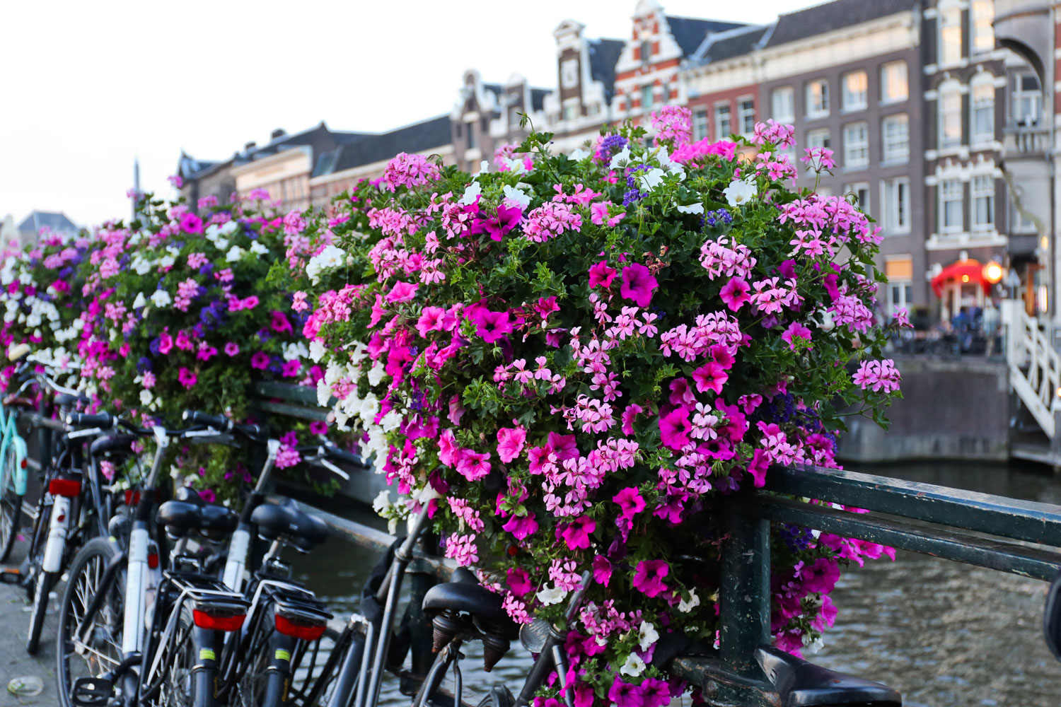 Proost from Amsterdam / for the love of nike