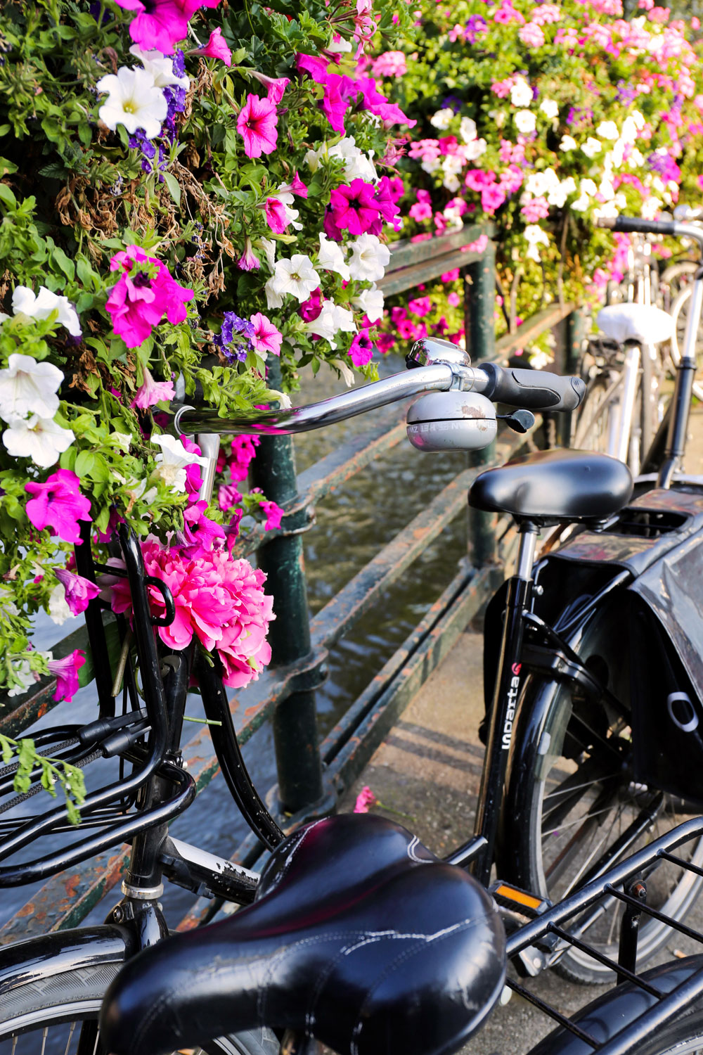 Proost from Amsterdam / for the love of nike