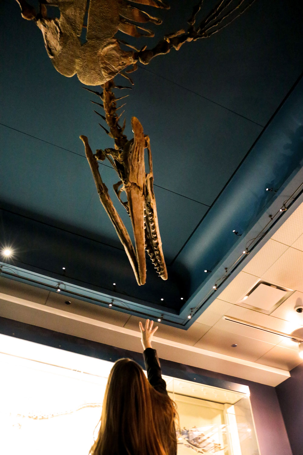 Thanksgiving in Pittsburgh / for the love of nike