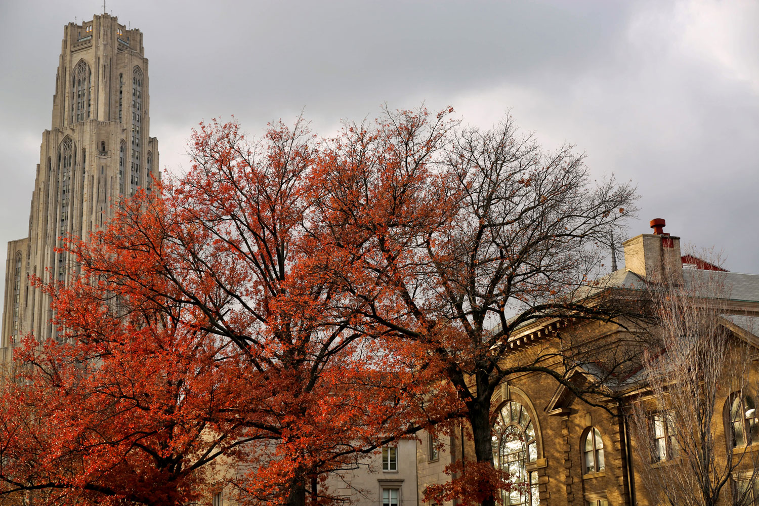 Thanksgiving in Pittsburgh / for the love of nike