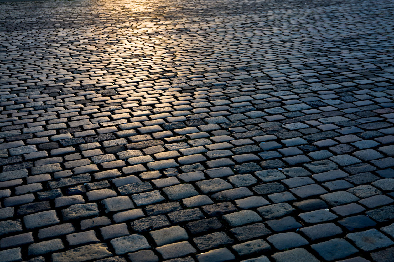 Frankfurt, Germany / for the love of nike