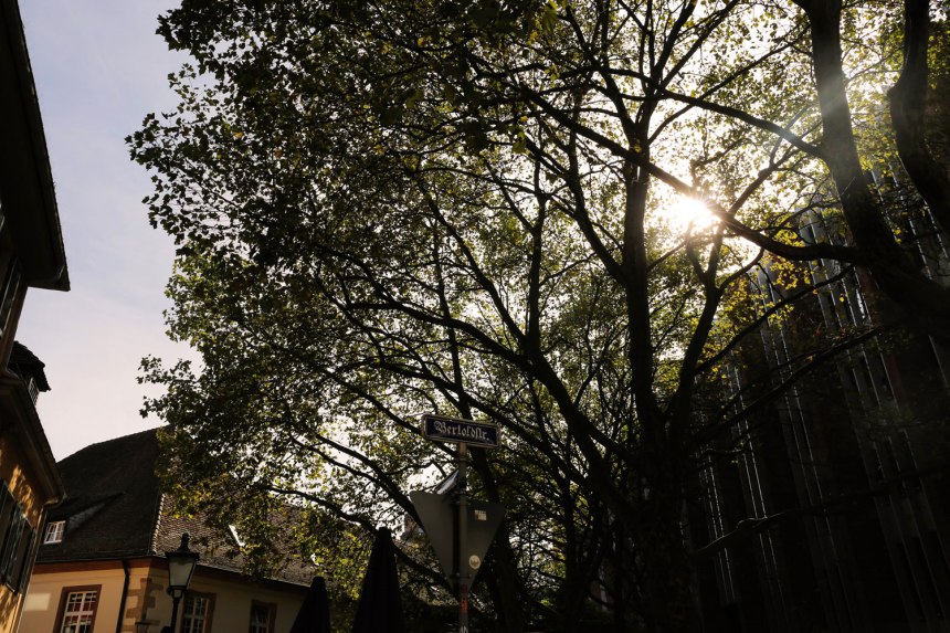 Freiburg, Germany / for the love of nike 