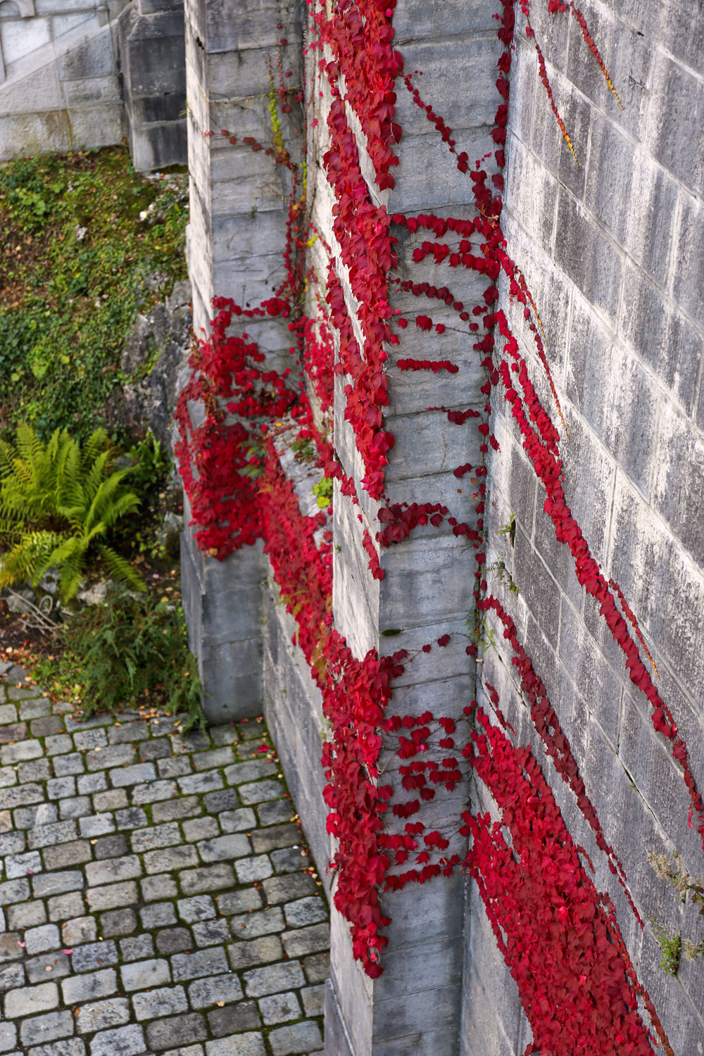 Füssen, Germany / for the love of nike