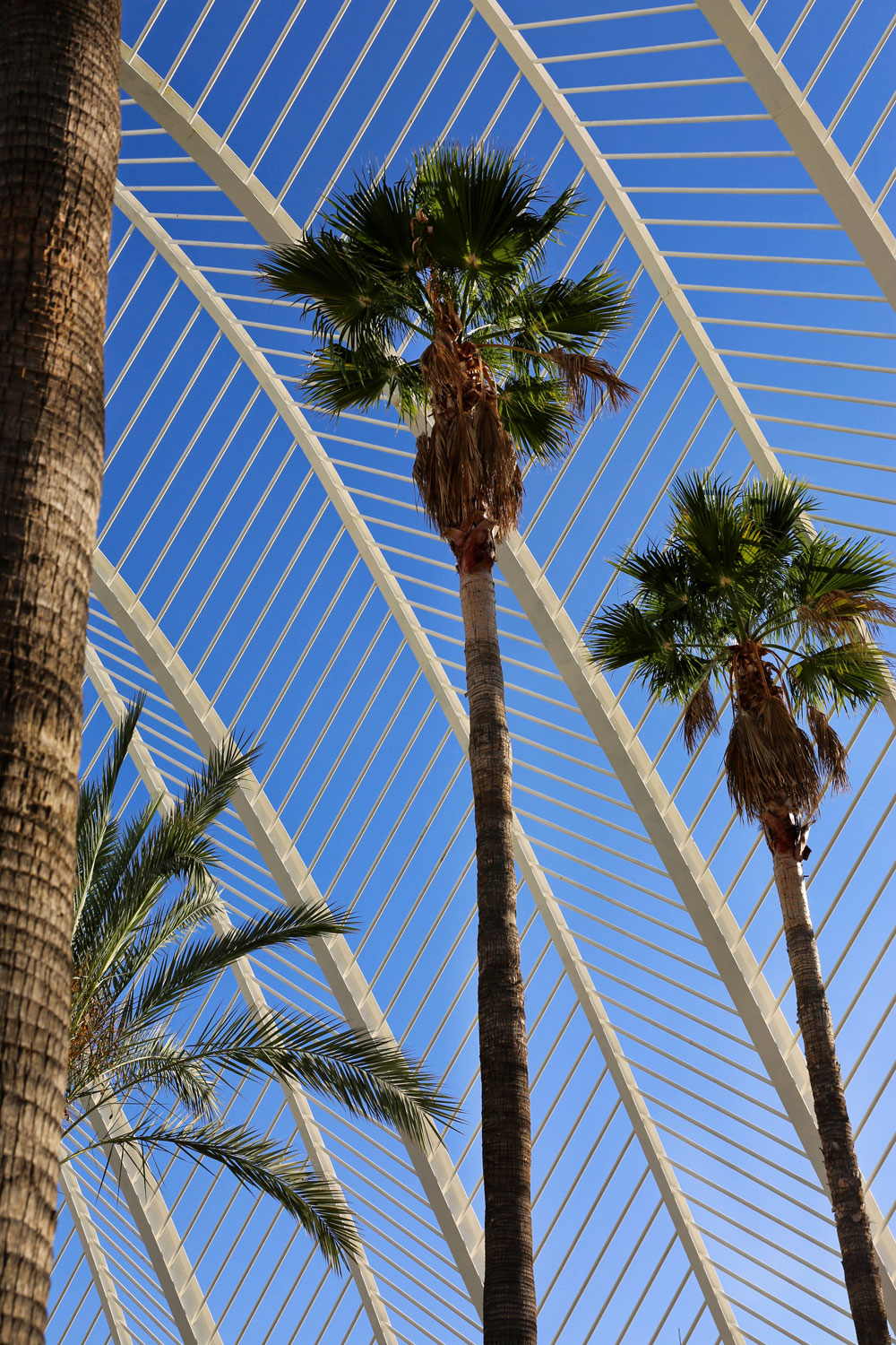 Valencia, Spain / for the love of nike