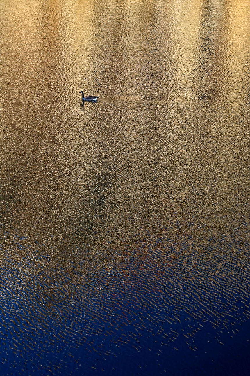 A Cultural Tour of Chicago / for the love of nike