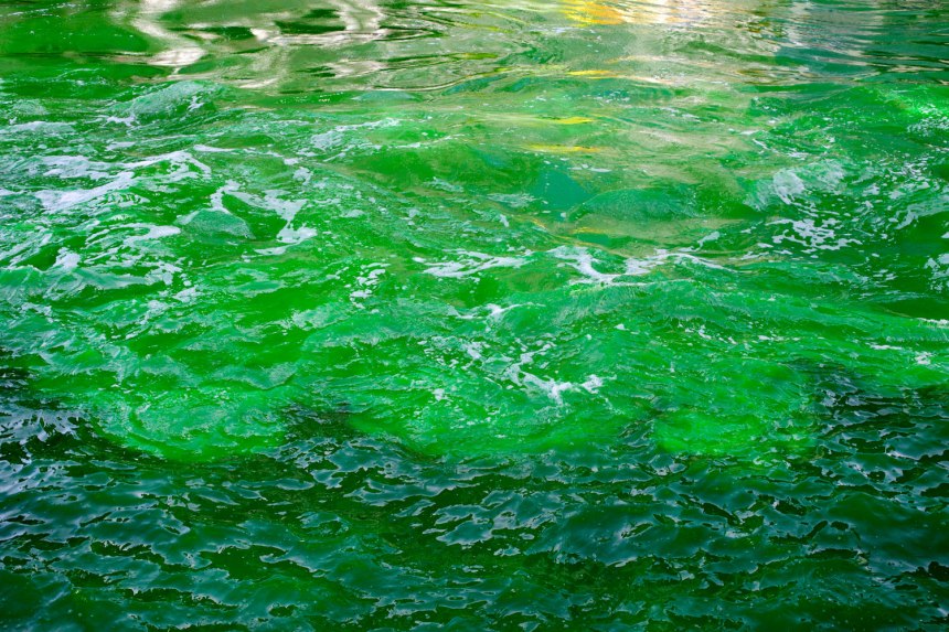 Happy St. Patrick's Day / for the love of nike