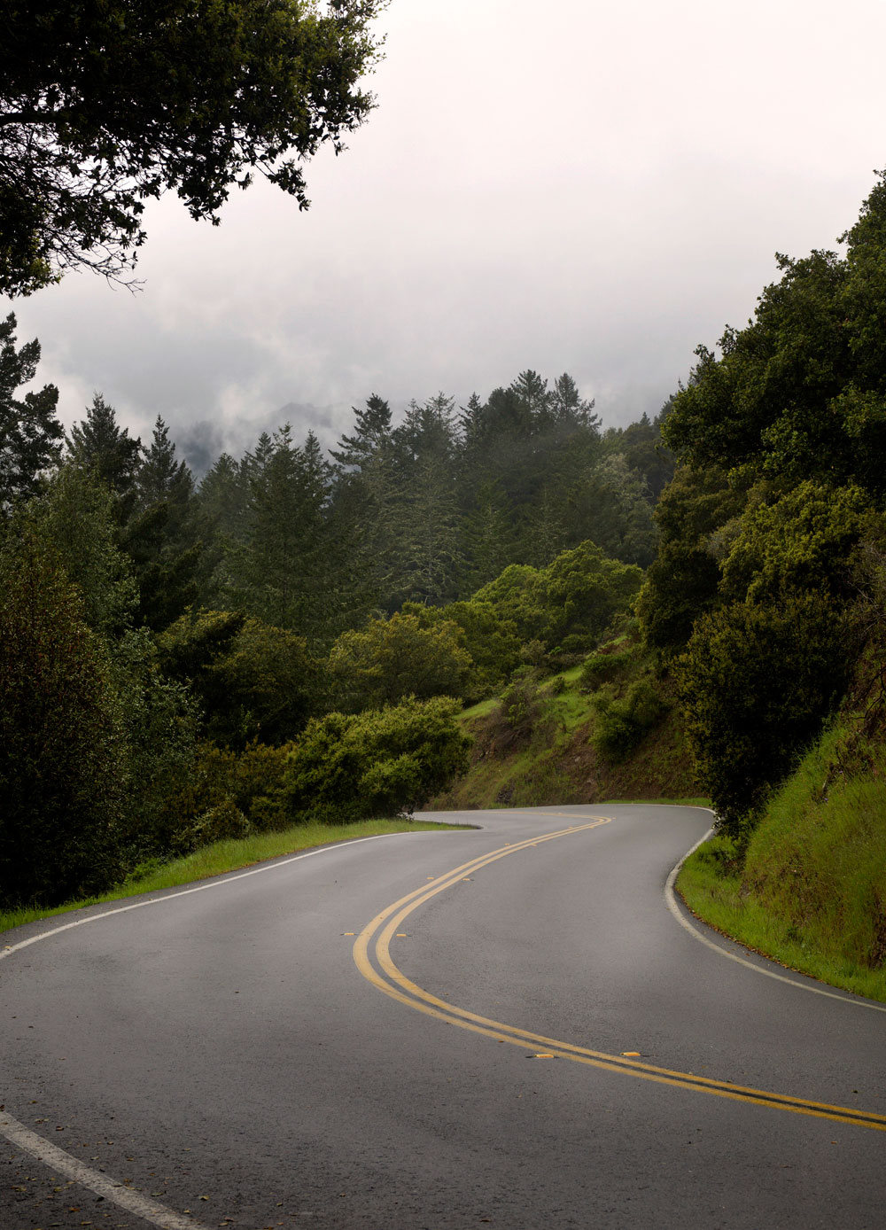 California Dreamin' / for the love of nike