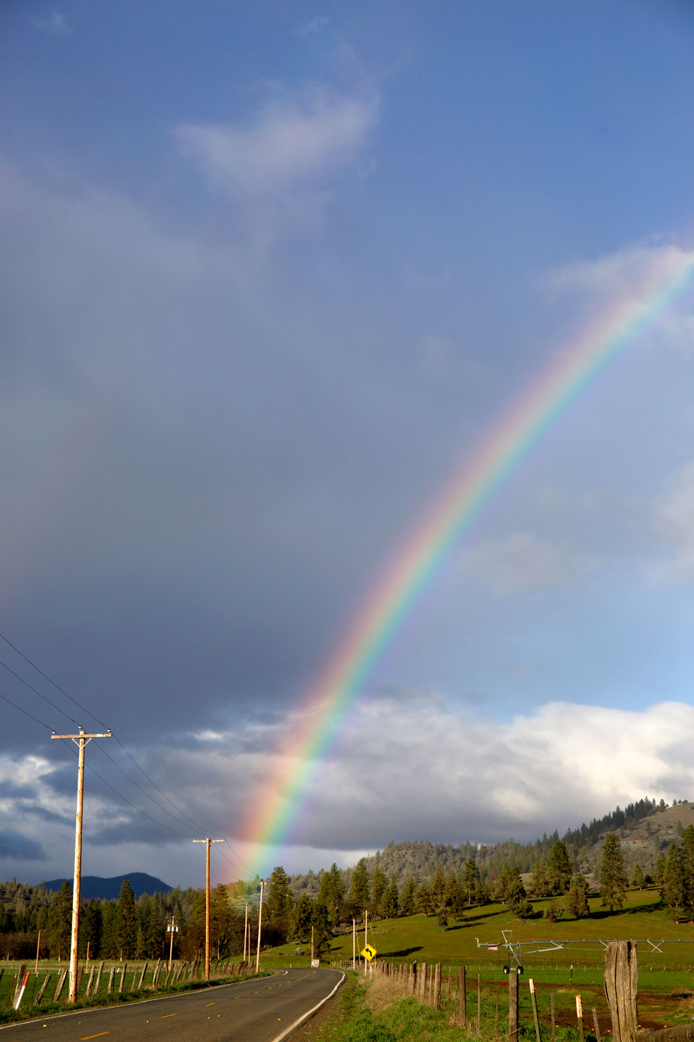 California Dreamin' / for the love of nike