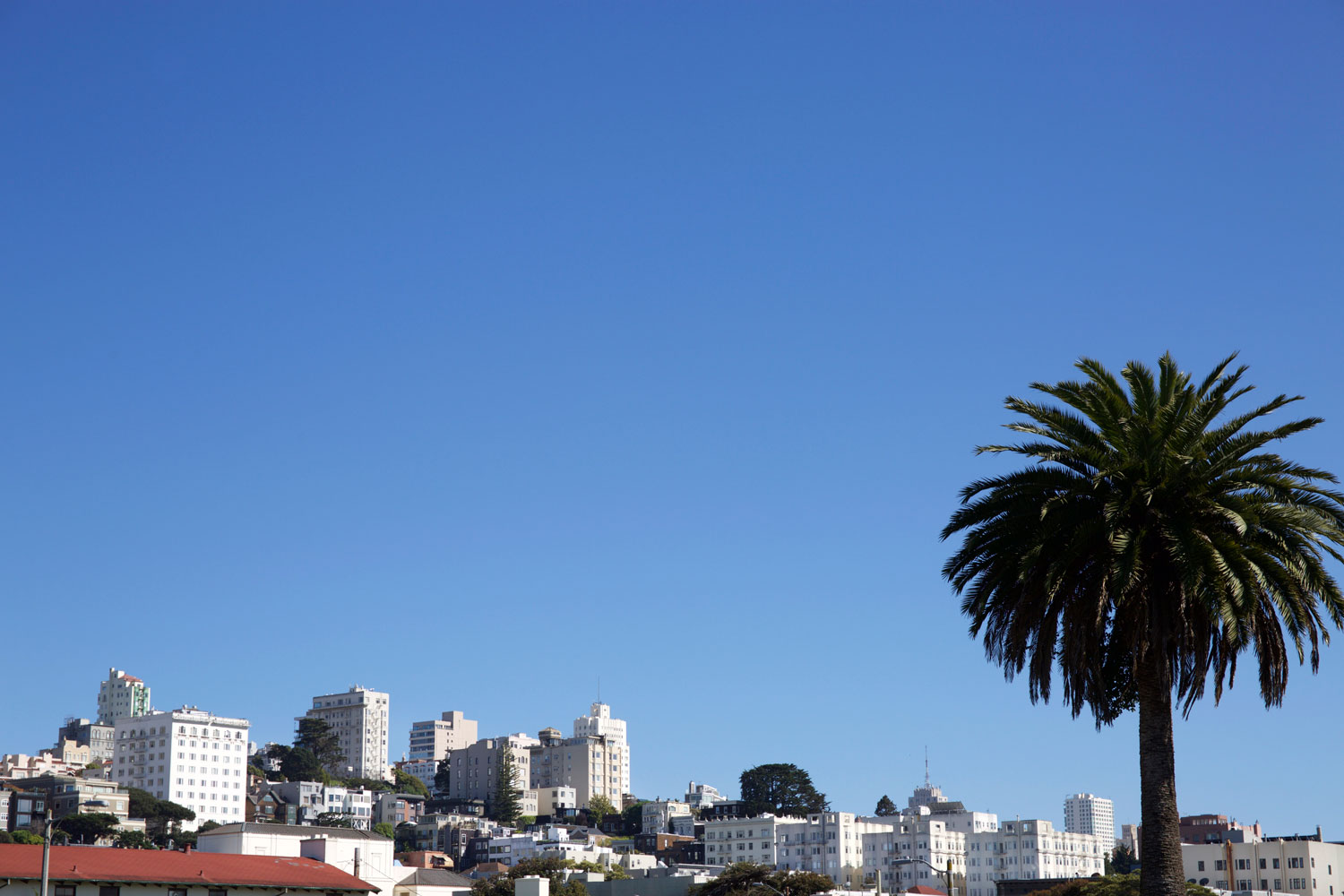 California Dreamin' / for the love of nike