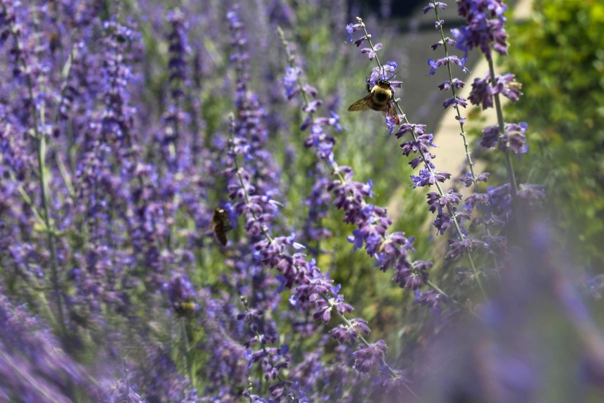 Kansas City / for the love of nike