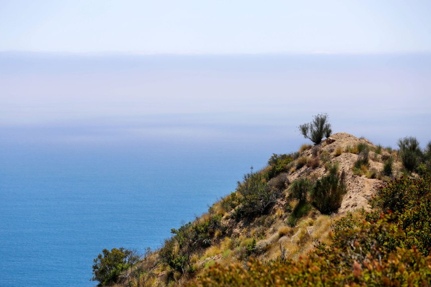 Blah Blah Land / for the love of nike