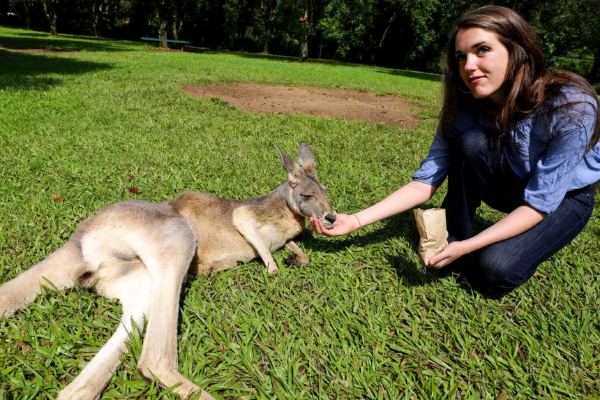 The Australia Zoo / for the love of nike