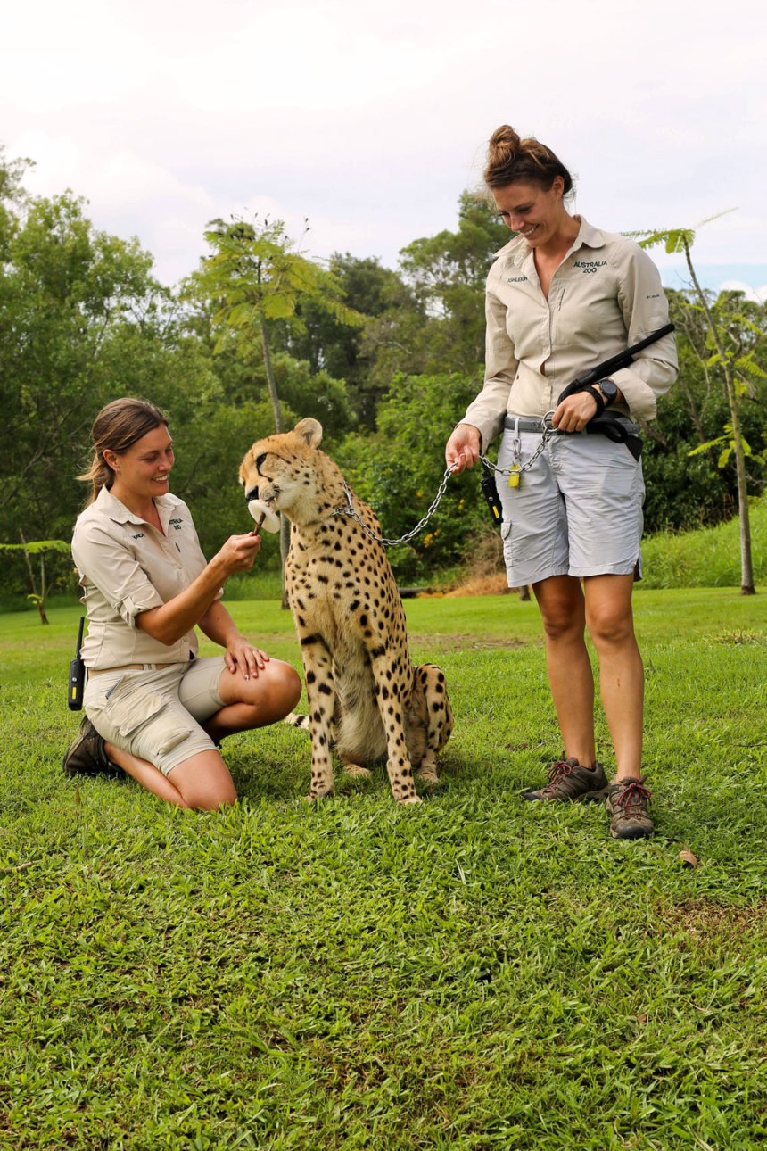 The Australia Zoo / for the love of nike