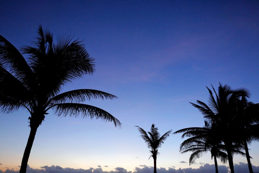 Cancún / for the love of nike