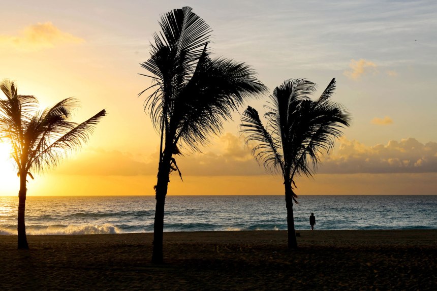 Cancún / for the love of nike