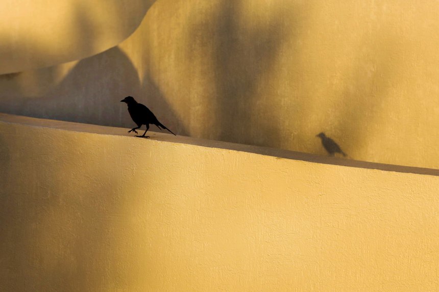 Cancún / for the love of nike