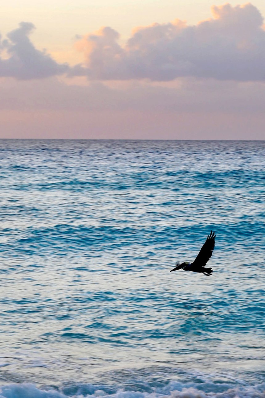 Cancún / for the love of nike