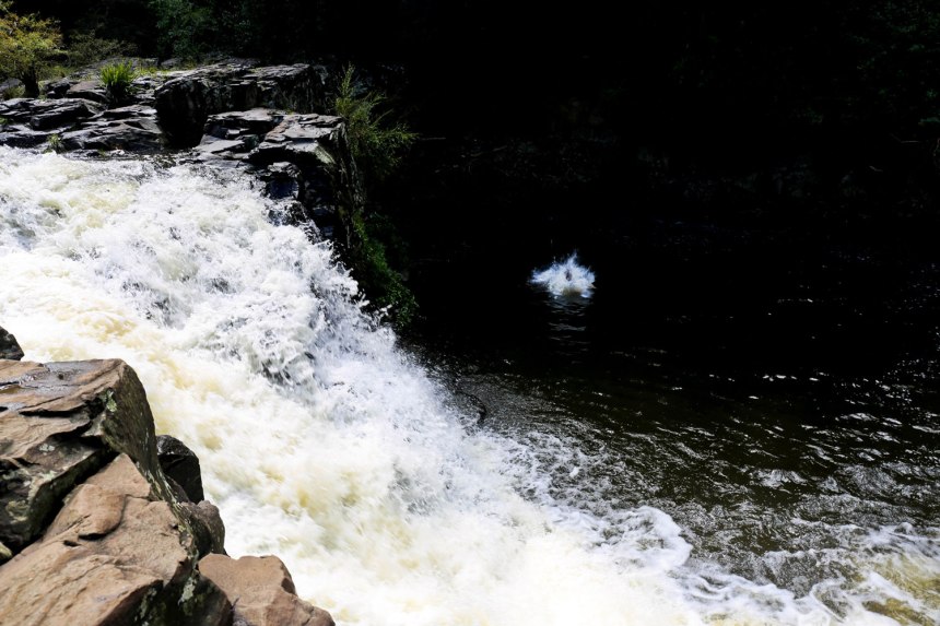 Maleny, Australia / for the love of nike
