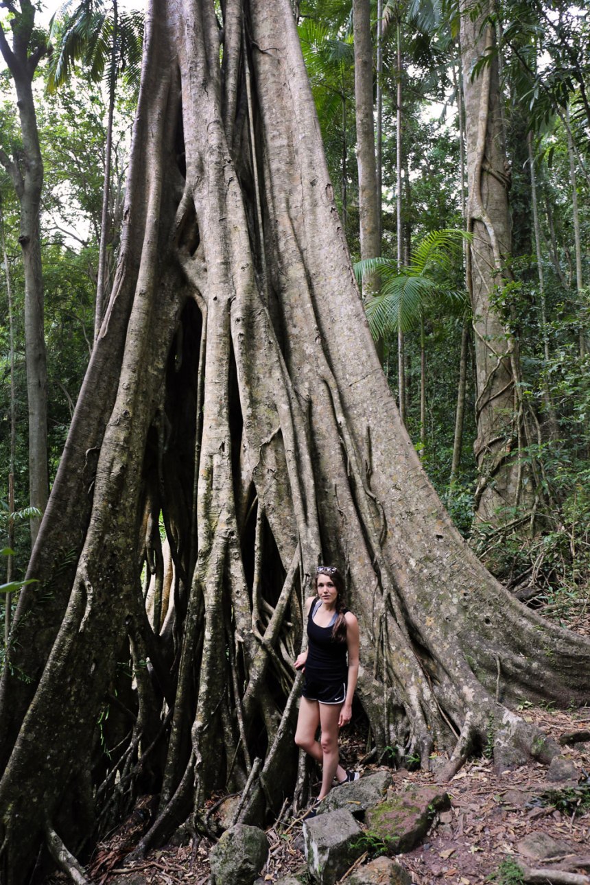 Maleny, Australia / for the love of nike