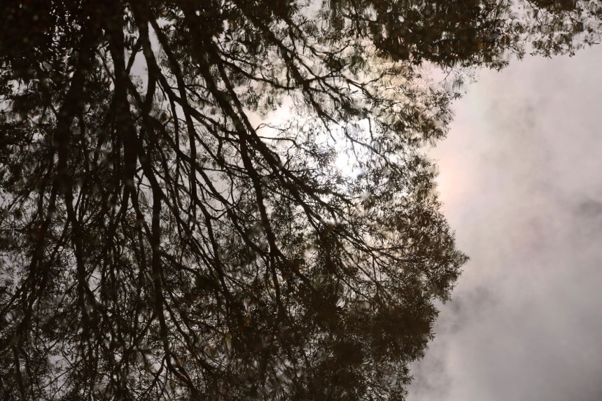 Maleny, Australia / for the love of nike