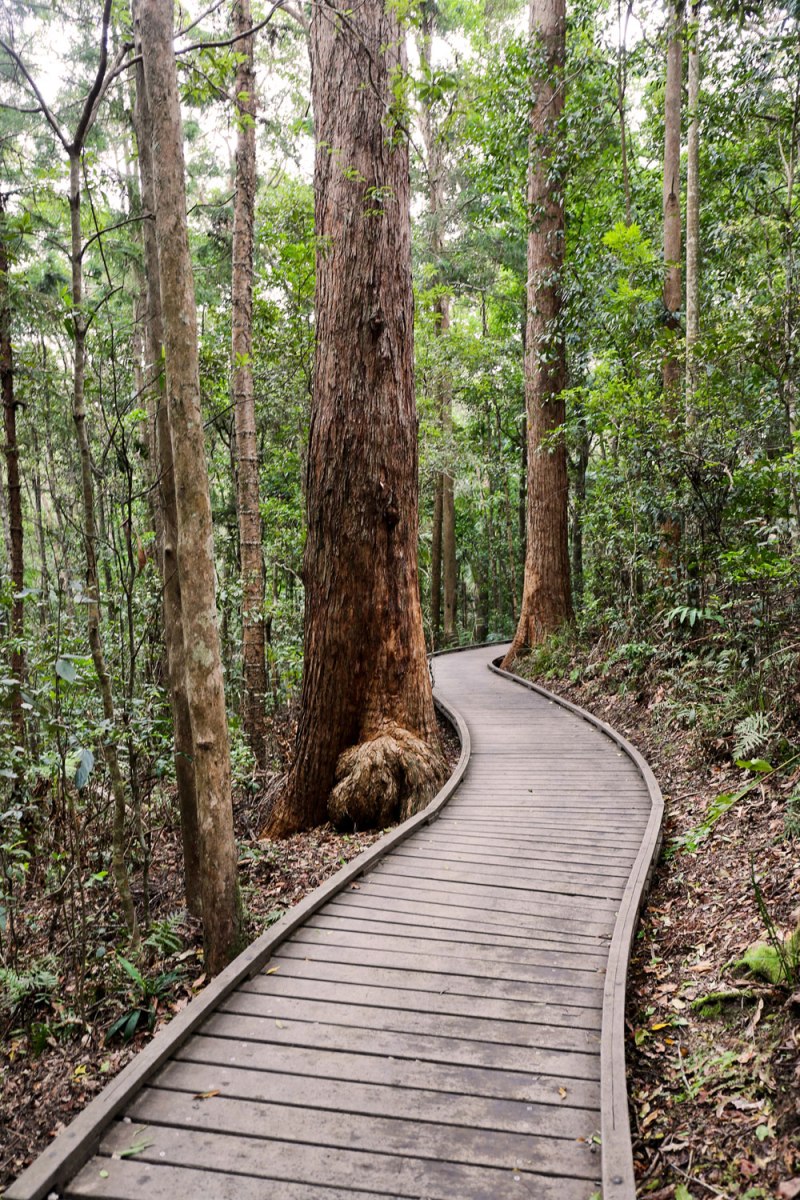 Maleny, Australia / for the love of nike