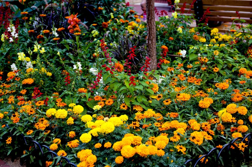 Red Rocks / for the love of nike