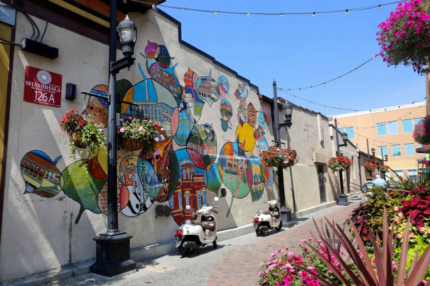 Fort Collins / for the love of nike