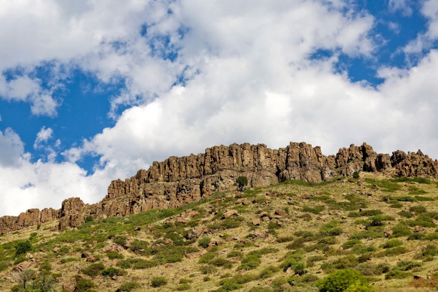 Welcome to Golden! for the love of nike