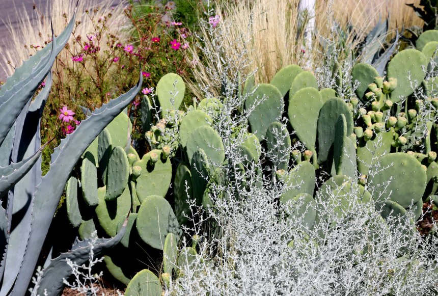 Nikes in Marfa / for the love of nike