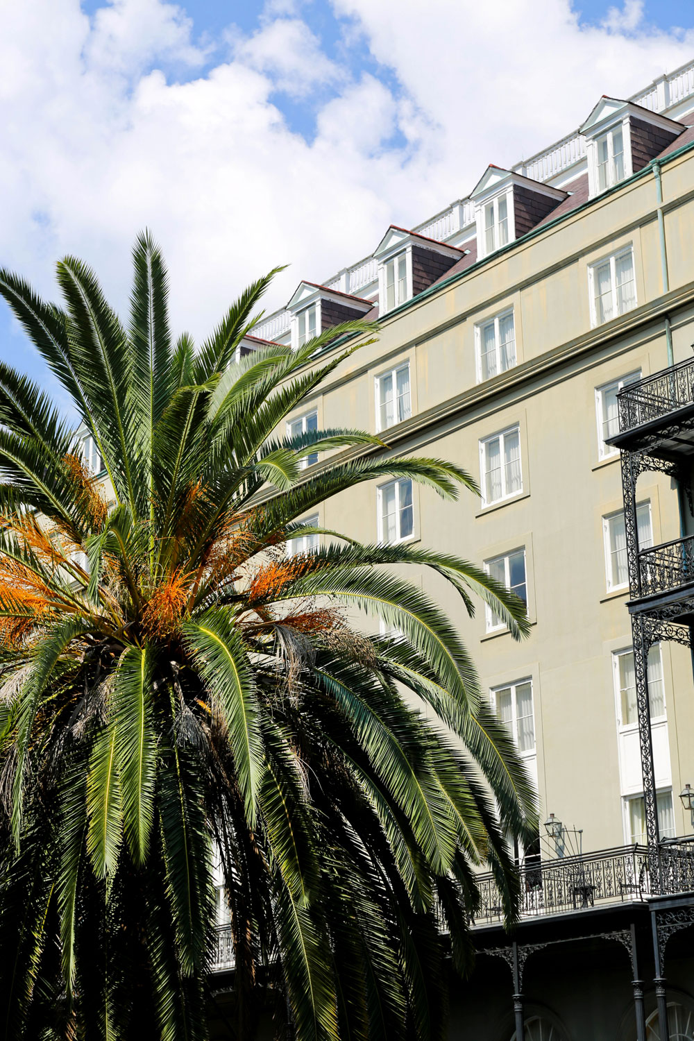 Nikes in NOLA / for the love of nike