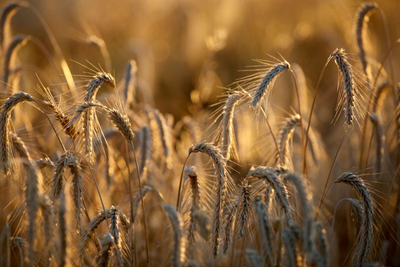 Nikes in Montana / for the love of nike