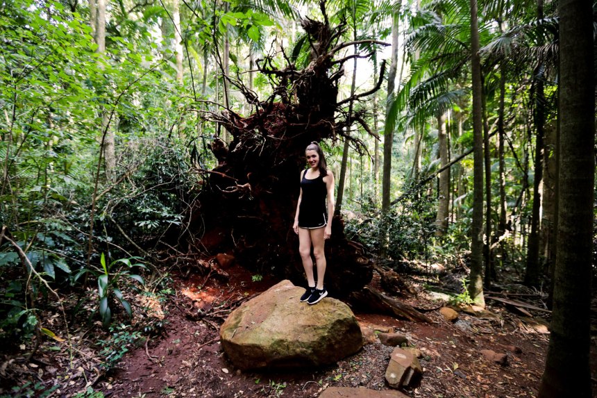 Nikes in Tamborine, Australia / for the love of nike