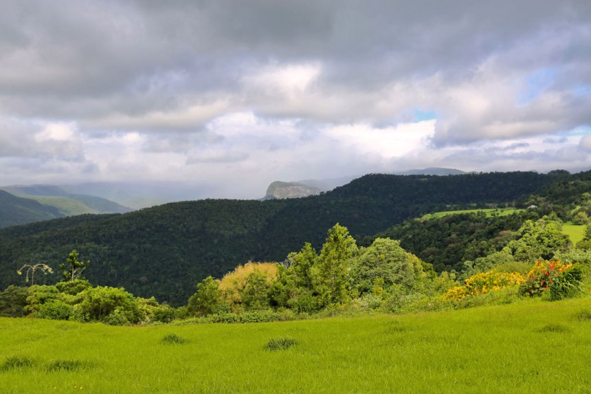 Nikes in Tamborine, Australia / for the love of nike
