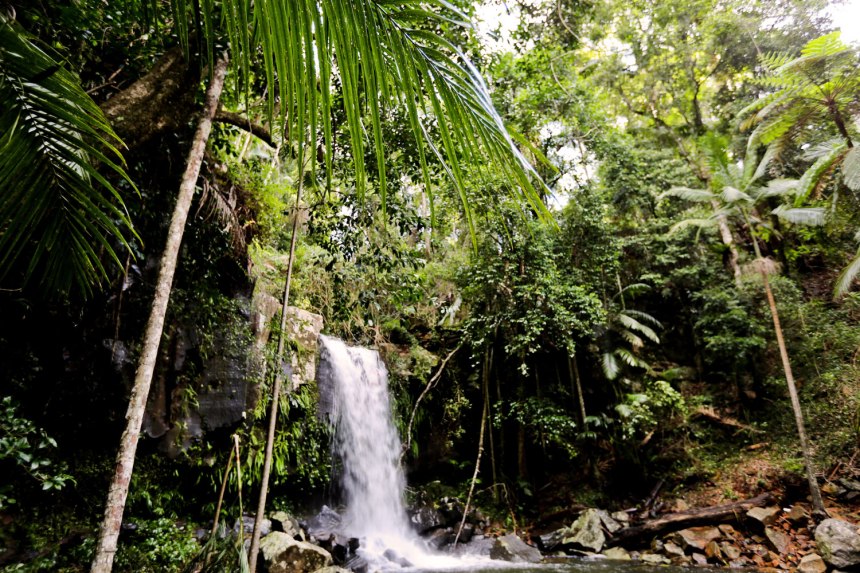 Nikes in Tamborine, Australia / for the love of nike