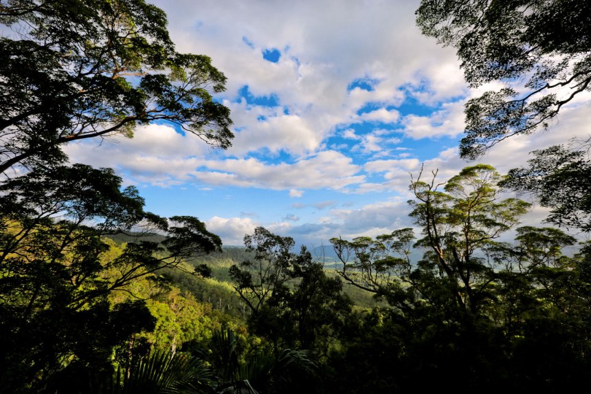 Nikes in Tamborine, Australia / for the love of nike
