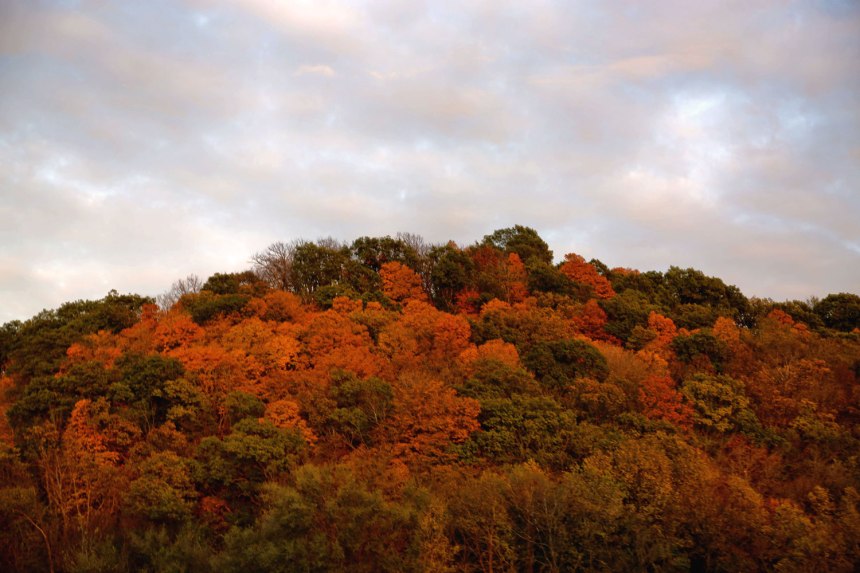 A Day Trip to Weston, MO / for the love of nike