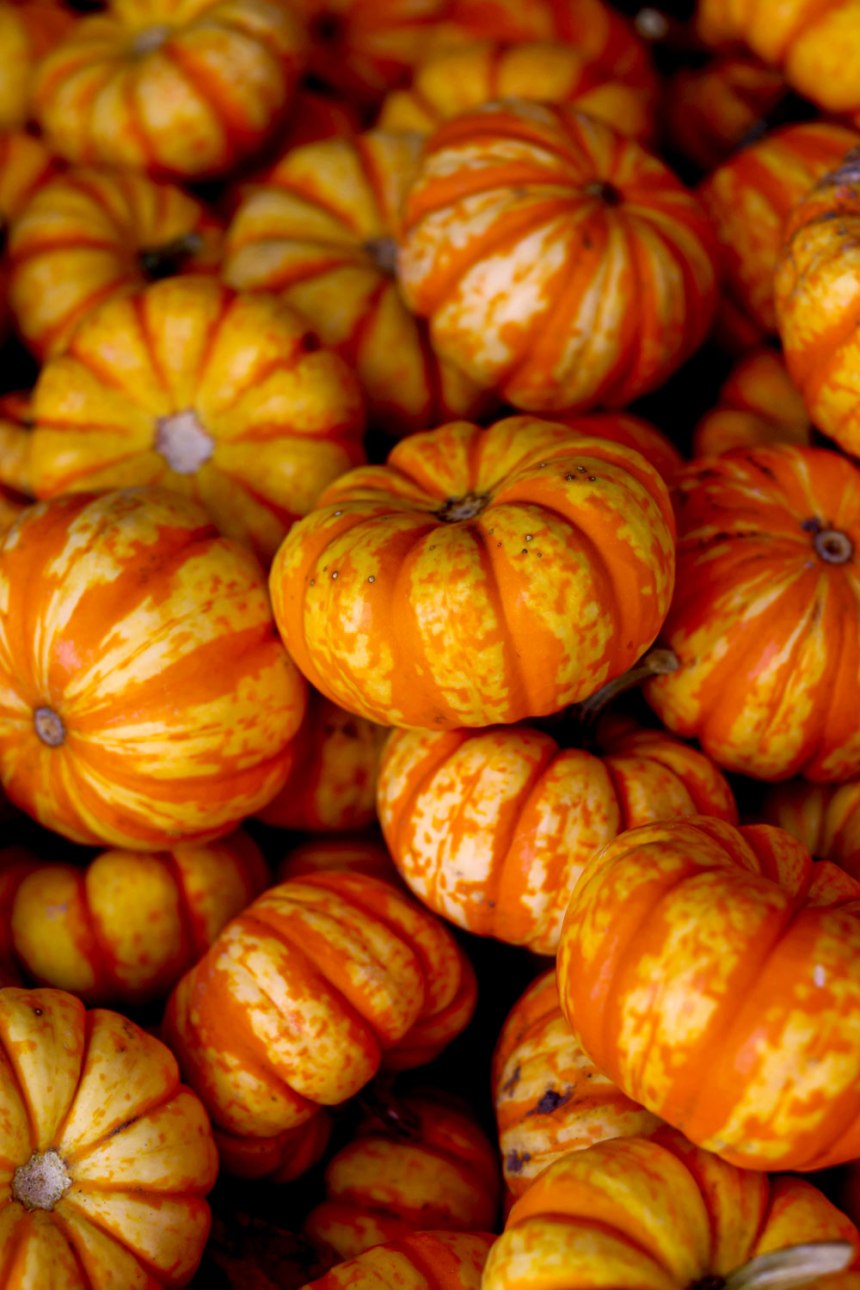 A Day Trip to Weston, MO / for the love of nike