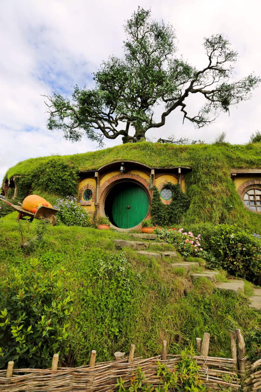 Nikes in Hobbiton / New Zealand / for the love of nike