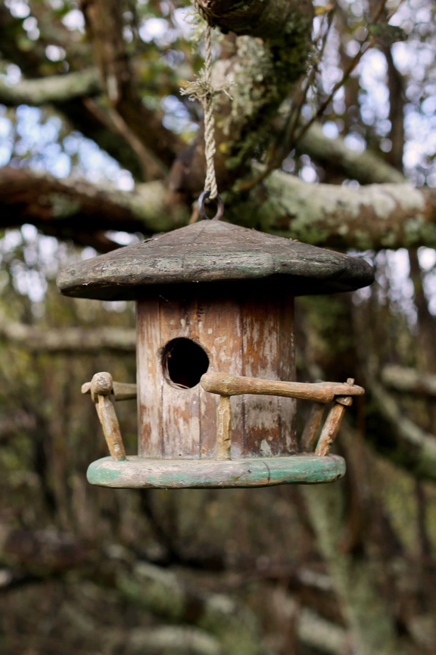 Nikes in Hobbiton / New Zealand / for the love of nike