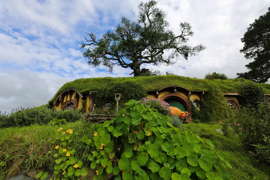 Nikes in Hobbiton / New Zealand / for the love of nike