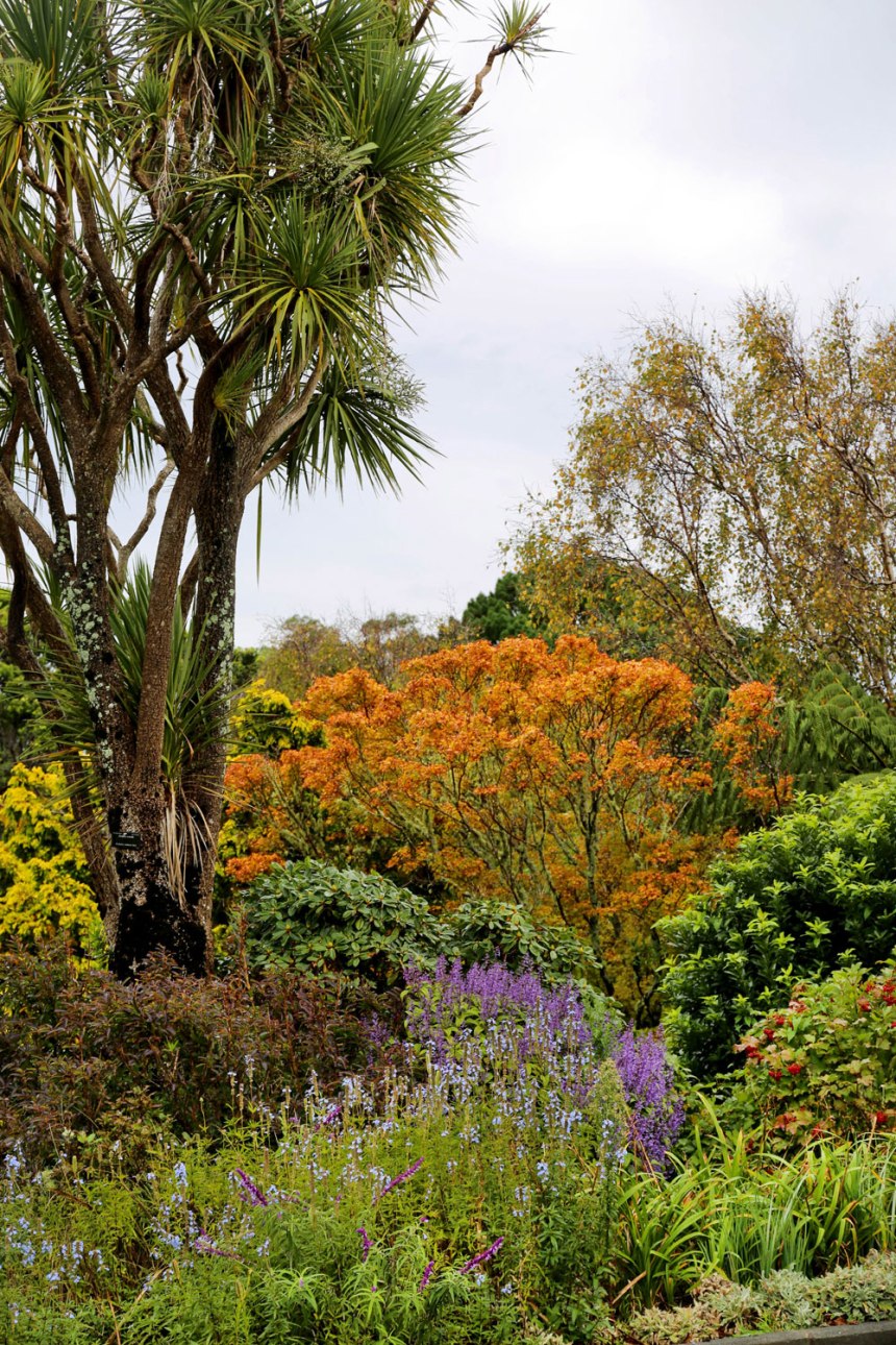 Wellington, New Zealand / for the love of nike