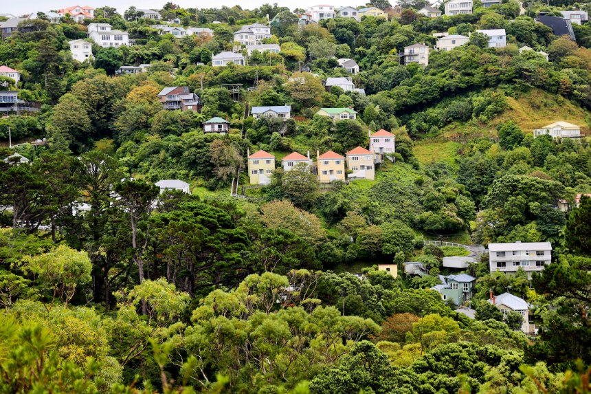 Wellington, New Zealand / for the love of nike