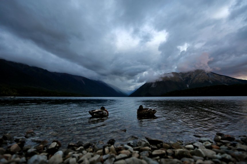 North Island, New Zealand / for the love of nike